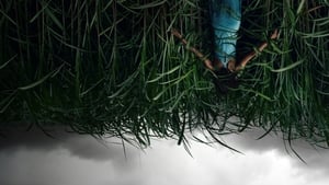En la hierba alta (2019) | In the Tall Grass