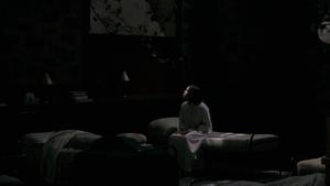 Il mistero del bosco (2006)