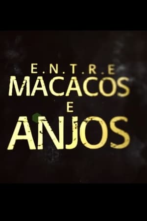 Image Entre Macacos e Anjos