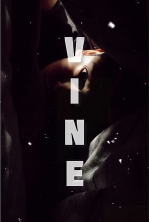 Image Vine Trailer