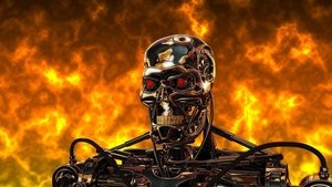 Terminator 3 – La Rebelión de las Máquinas (2003) HD 720P LATINO/INGLES
