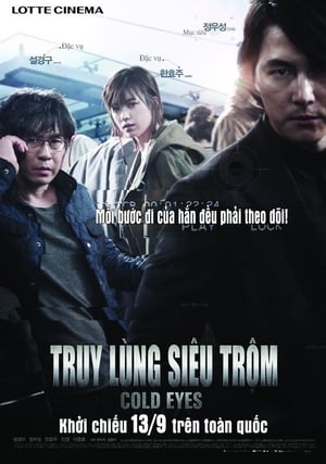 Truy Lùng Siêu Trộm (2013)