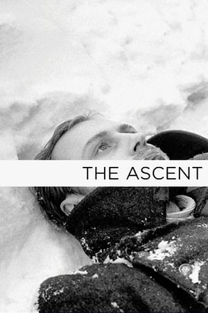 Image The Ascent