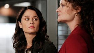 The Mentalist: Stagione 5 – Episodio 6