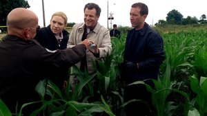 Fringe – Grenzfälle des FBI: 2 Staffel 2 Folge