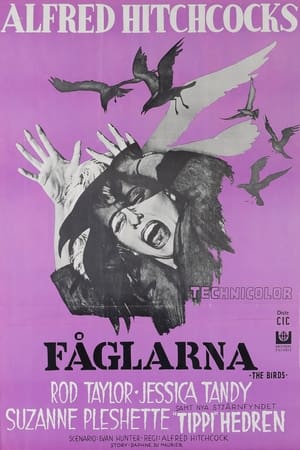 Poster Fåglarna 1963