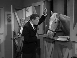 Mr. Ed: 1×16