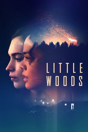 Little Woods 2019