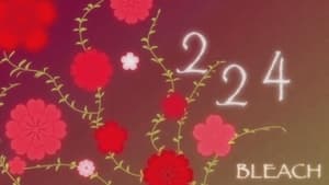 Bleach – Episode 224 English Dub