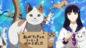 Nyaight of the Living Cat: 1×3