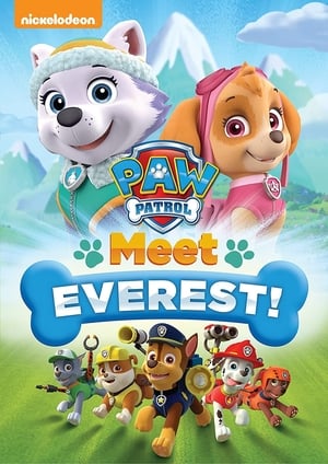 Poster Paw Patrol: Conosciamo Everest 2016