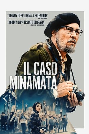 Poster di Il caso Minamata