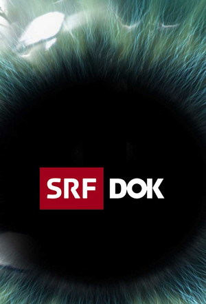 SRF DOK