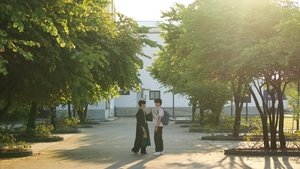 Summer Night ( 2024 )