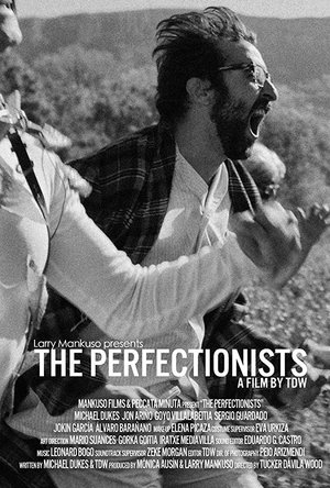 The Perfectionists cover