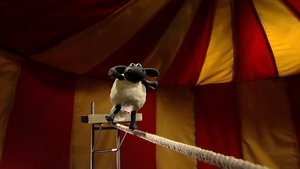 Shaun the Sheep: 1×16