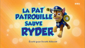 Paw Patrol Helfer auf vier Pfoten: 1×41