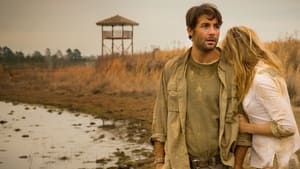 Zoo TV Series | Where to watch?