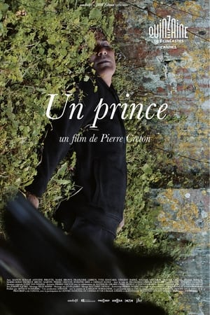 Poster Un prince 2023