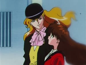 Sailor Moon: 4×2