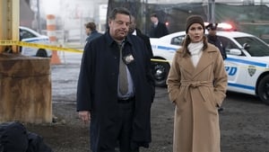 Blue Bloods 10 episodio 19