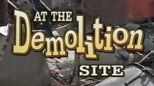 At the Demolition Site