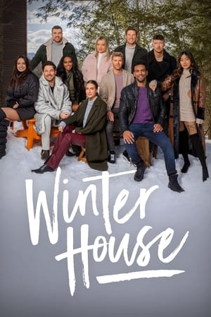 Poster Winter House 2021