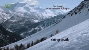 Image Black slope for gastropod skiers