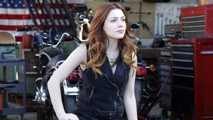 Marvel’s Agentes de S.H.I.E.L.D. Temporada 1 Capitulo 15