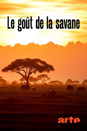 Image Le Goût de la savane : Herbivores et carnivores, festins croisés