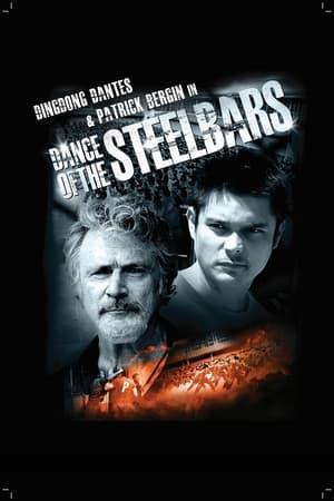 Poster Dance of the Steel Bars 2013