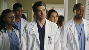 Grey’s Anatomy 10 x Episodio 20