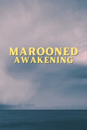 Poster di Marooned Awakening