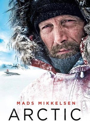 Arctic 89