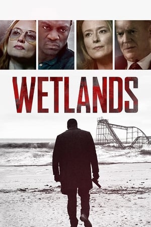 Poster for Wetlands (2017)