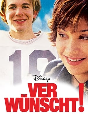 Poster Ver-wünscht! 2003