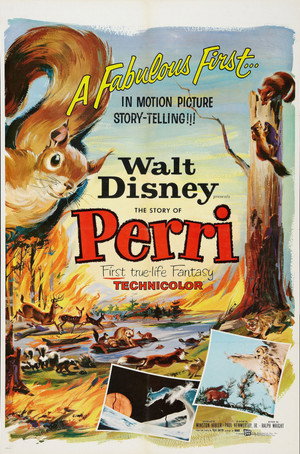 Perri 22