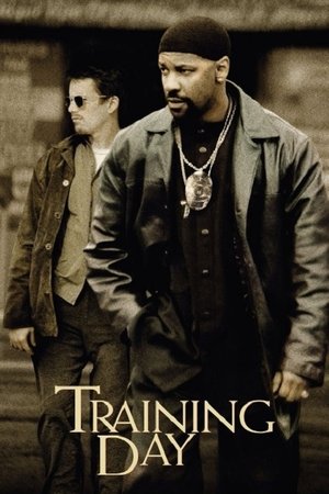 Click for trailer, plot details and rating of Training Day (2001)