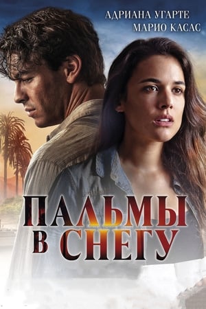 Poster Пальмы в снегу 2015