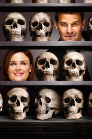 poster Bones
