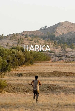 Harka 13