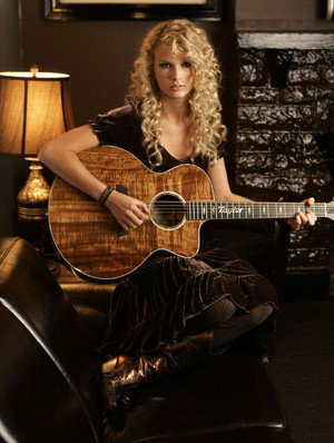 Taylor Swift: A Place in This World 4