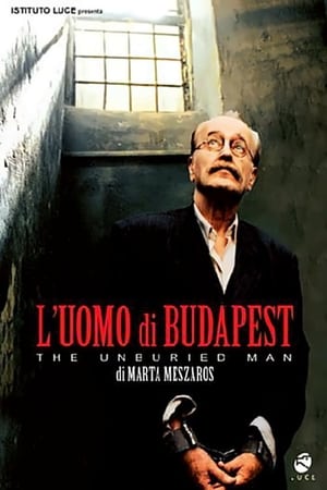 Poster L'uomo di Budapest 2004