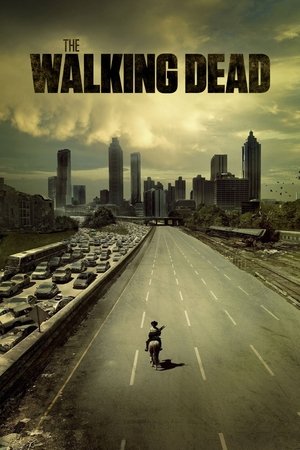 The Walking Dead image