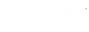 How to Paint Citadel Miniatures