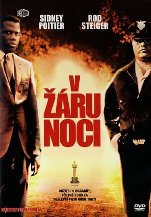 Image V žáru noci