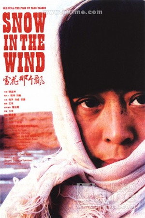 Snow in the Wind 2