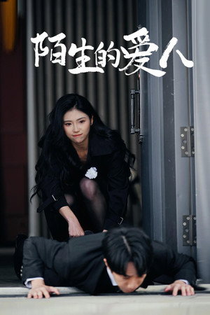 陌生的爱人封面图
