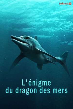 Image L'Enigme Du Dragon Des Mers