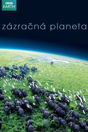 Poster Zázračná planeta 1. sezóna Sladkovodní svět 2006